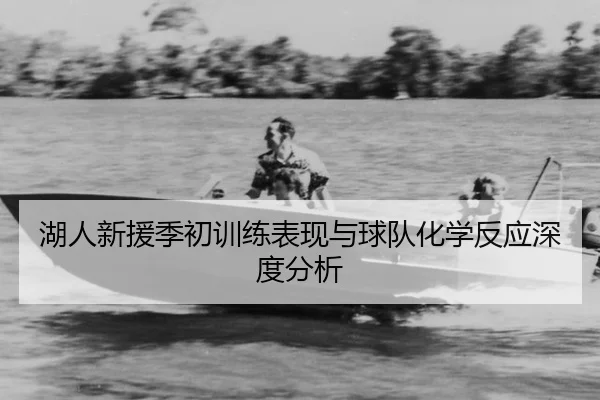 湖人新援季初训练表现与球队化学反应深度分析